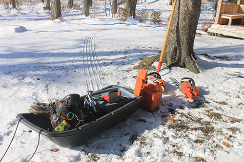 Winter is a good time for tree work