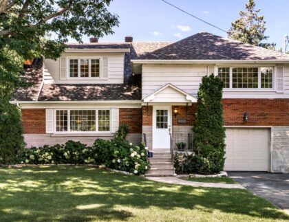 Choosing the Right Tree for Your Property in Ontario with Baum Tree Care