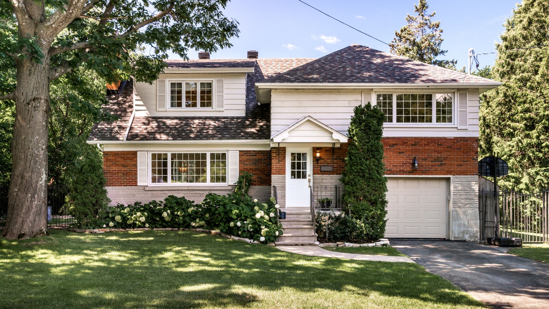 Choosing the Right Tree for Your Property in Ontario with Baum Tree Care